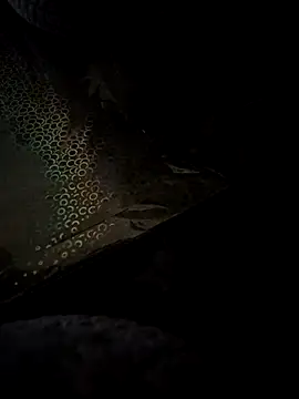 Snapshot of crawlerdrill chatting on May 2026 09:14:02 AM crawlerdrill online show from May 2026 09:14:02 AM