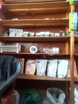 szabi1995 online show from January 2026 08:16:01 AM