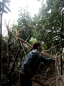 nat-tri online show from January 2026 05:32:01 AM