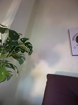 Snapshot of NovaFoxx chatting on February 2026 01:52:02 PM NovaFoxx online show from February 2026 01:52:02 PM