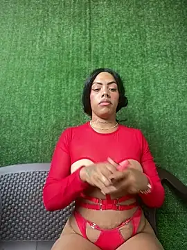 Snapshot of NovaFoxx chatting on February 2026 07:15:02 PM NovaFoxx online show from February 2026 07:15:02 PM