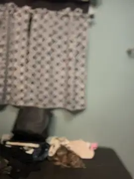 queenkelly1234 online show from May 2026 08:36:02 PM
