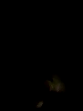 an-show online show from December 2025 01:04:02 AM