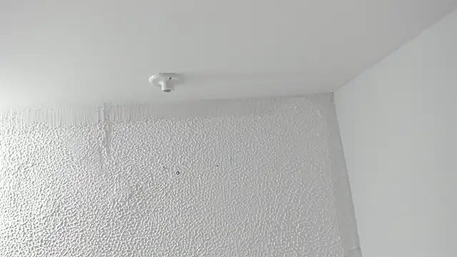 AnnieAndLeandro online show from January 2026 08:12:01 PM