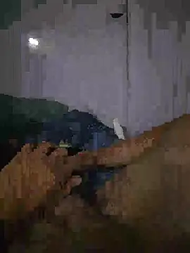 shainnfk online show from March 2026 11:23:01 AM