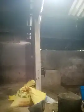 Myzak- online show from October 2025 11:38:02 PM