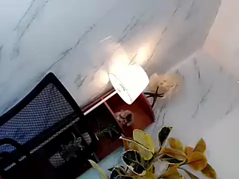 sweet rose69 online show from November 2025 12:33:02 PM