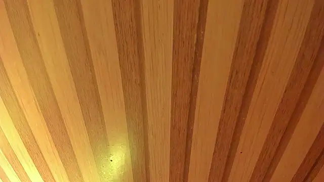 mia  blaze   online show from March 2026 03:11:02 AM