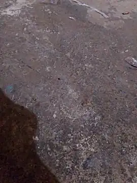 Orlao25cm online show from November 2025 04:40:02 AM