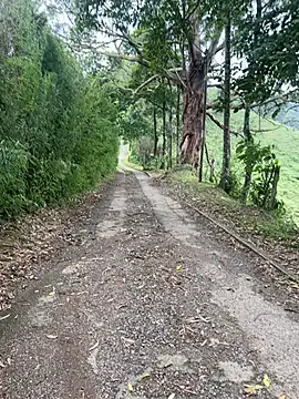 motomotoboy online show from March 2026 06:48:01 PM