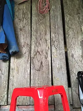 Kylie beem online show from March 2026 06:19:02 AM