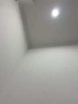 violeta365 online show from April 2026 03:00:02 AM