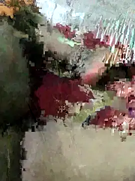 sexy 6hvhhh online show from October 2025 12:44:02 PM