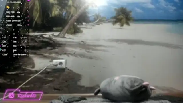 kimberd33 online show from February 2026 03:11:02 PM