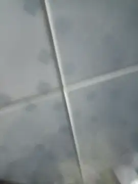 Snapshot of INTIMACY123 chatting on November 2025 02:57:01 AM INTIMACY123 online show from November 2025 02:57:01 AM