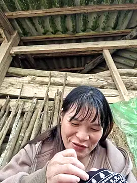 chipu06 online show from November 2025 03:37:02 AM