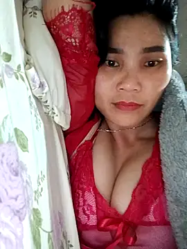 Bear bear0 online show from January 2026 06:50:01 AM