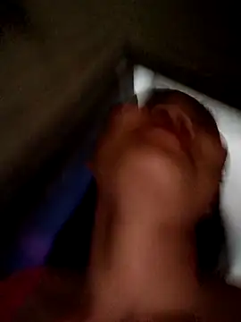 Bear bear0 online show from April 2026 12:47:01 AM