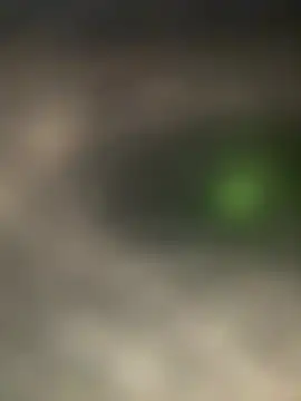 bart98geil online show from March 2026 11:37:01 AM