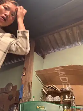 sowbibi online show from November 2025 01:29:01 AM