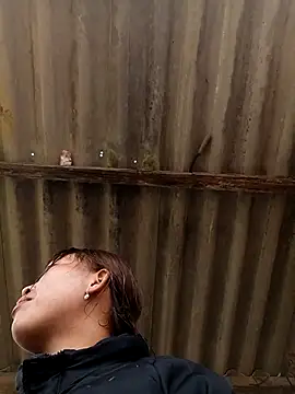 sowbibi online show from February 2026 05:11:02 AM