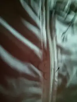 sowbibi online show from February 2026 05:41:01 AM