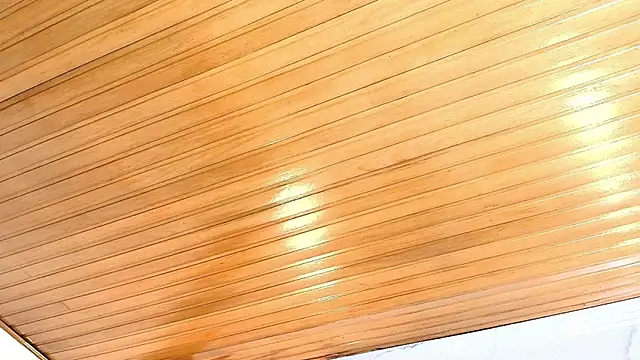 AlexaLaenz online show from January 2026 05:27:02 PM