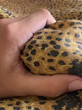 StrandedTrident online show from April 2026 10:19:02 AM