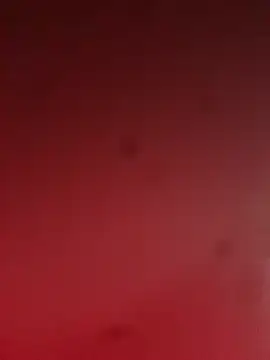 pedro14ARh online show from October 2025 08:16:02 PM