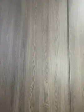 Evelinmiller97 online show from November 2025 08:55:01 PM