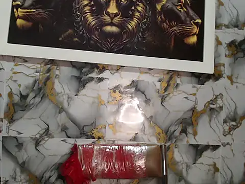 Snapshot of Rigel_paxs chatting on November 2025 05:23:01 PM Rigel paxs online show from November 2025 05:23:01 PM