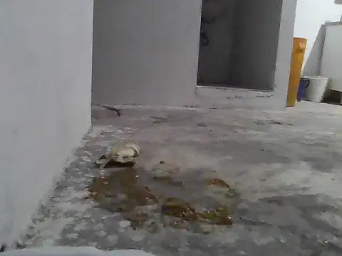 jupiter 333 online show from January 2026 07:21:01 AM