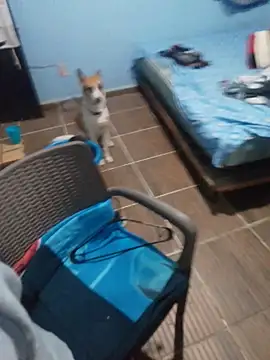 Snapshot of 666Daemon666 chatting on January 2026 05:12:02 AM 666Daemon666 online show from January 2026 05:12:02 AM