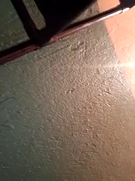 Snapshot of Elvergon22546 chatting on November 2025 05:08:01 PM Elvergon22546 online show from November 2025 05:08:01 PM