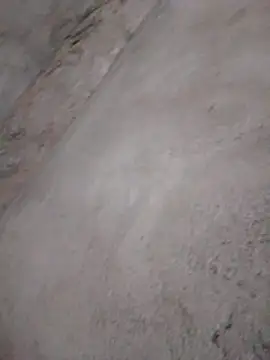 kari 24 online show from December 2025 05:00:01 PM