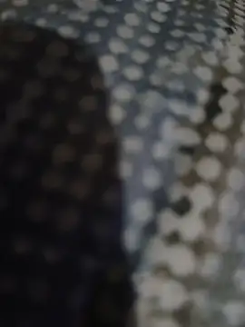 Snapshot of Piope1984 chatting on October 2025 09:17:02 PM Piope1984 online show from October 2025 09:17:02 PM