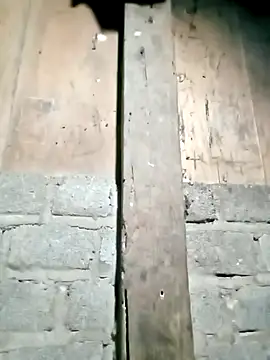 Noelle-e online show from March 2026 12:42:02 PM