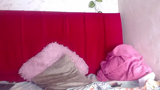 amandacanelacm online show from February 2026 12:48:02 PM