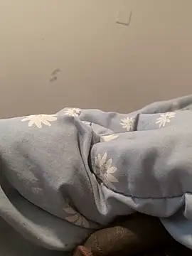 bigbuufuu online show from November 2025 09:26:01 PM