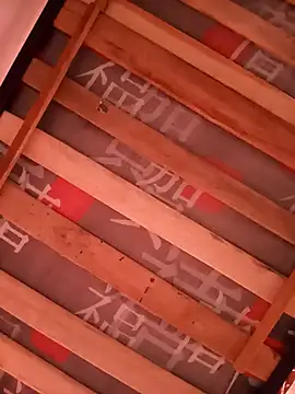 damian fort1 online show from November 2025 04:24:01 PM