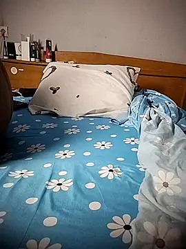 Snapshot of BD_228 chatting on February 2026 12:11:01 AM BD 228 online show from February 2026 12:11:01 AM