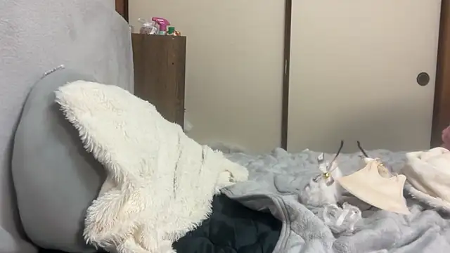 tubakiaki online show from April 2026 01:41:01 PM