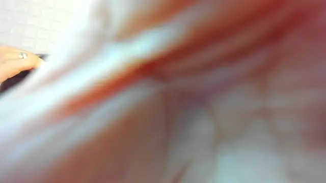 victoria 243 online show from February 2026 03:59:02 AM