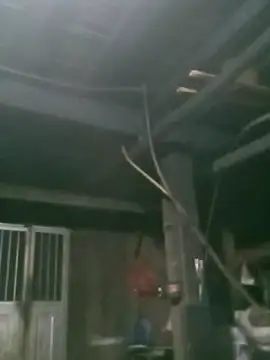 matbiec- online show from November 2025 10:32:02 PM