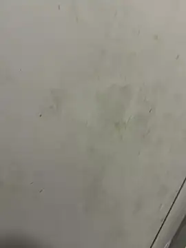 Snapshot of Isamperry69 chatting on October 2025 04:02:02 AM Isamperry69 online show from October 2025 04:02:02 AM