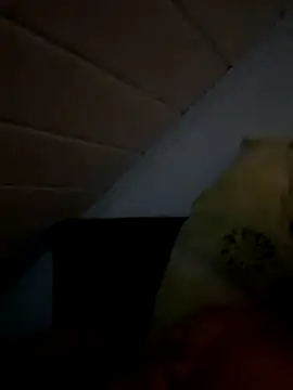 superbertok online show from November 2025 08:30:01 PM