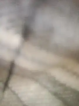 Pallu Asha online show from March 2026 04:25:02 AM