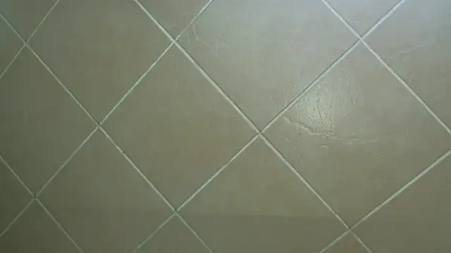 NewBeginnings8 online show from December 2025 12:53:02 PM