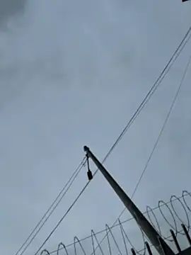 Samantha firee online show from April 2026 11:16:01 AM