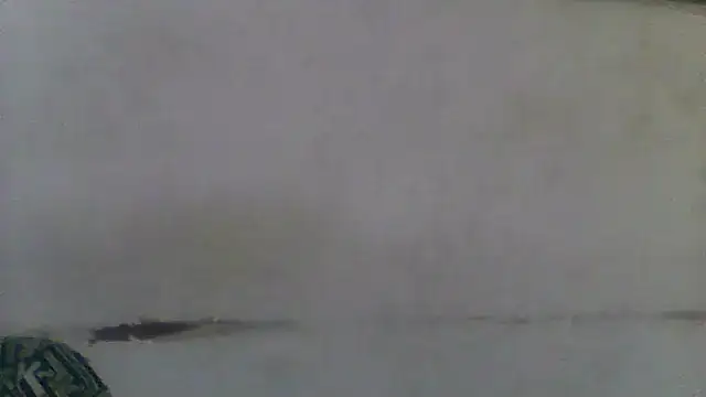 Ndodemnyamaxh online show from March 2026 08:04:02 PM